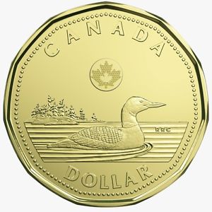 Magnetic Loonie by Roy Kueppers
